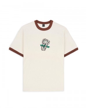 Beige Brain Dead X Green Day Flower Pot Ringer Tee T-Shirt | USA CIBV81754