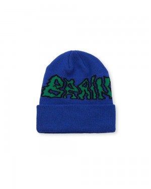 Blue Brain Dead Prehistoric Logo Wool Beanie | USA PZTR47039