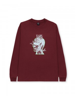 Burgundy Brain Dead Brain Roots Long Sleeve T-Shirt | USA LHAC89503