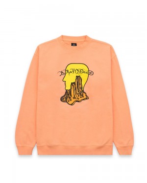 Coral Brain Dead Mount Slime Crewneck Sweatshirt | USA FIZR07132