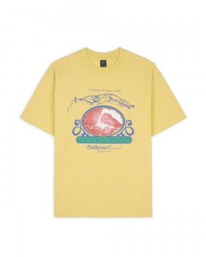 Lemon Brain Dead Calisthenics T-Shirt | USA FUSC57041