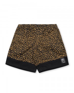 Leopard Black Brain Dead Paneled Leopard Dress Shorts | USA SUYJ76801