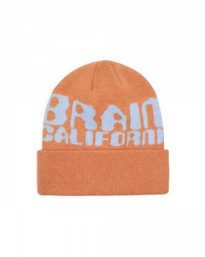 Orange Brain Dead Californian Design Beanie | USA MSZD46097