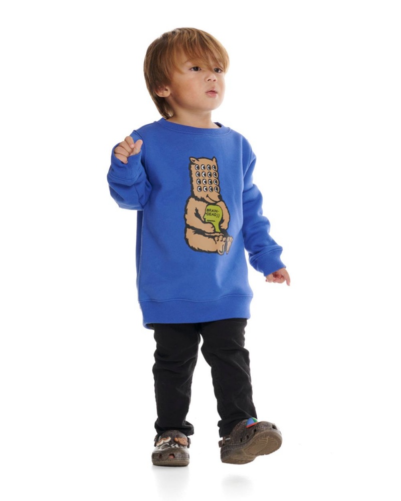 Blue Brain Dead Bear Brain Kids Crewneck Sweatshirt | USA UYLM09246