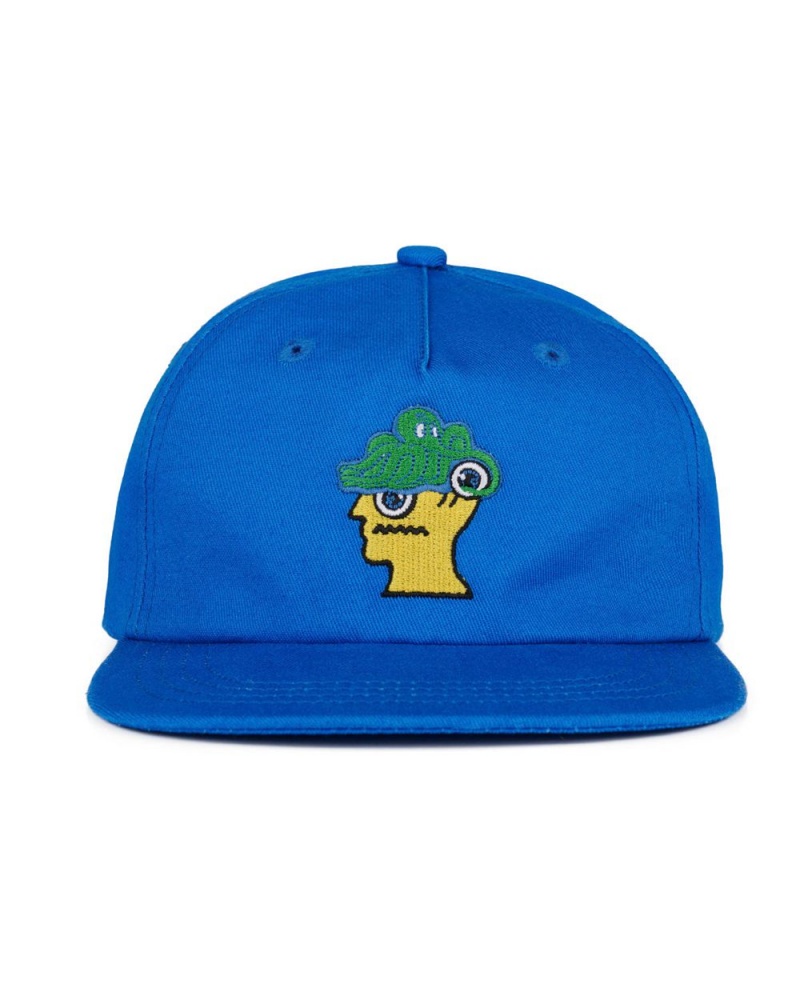 Blue Brain Dead Overcast Kids 6 Panel Cap | USA BLYZ74098