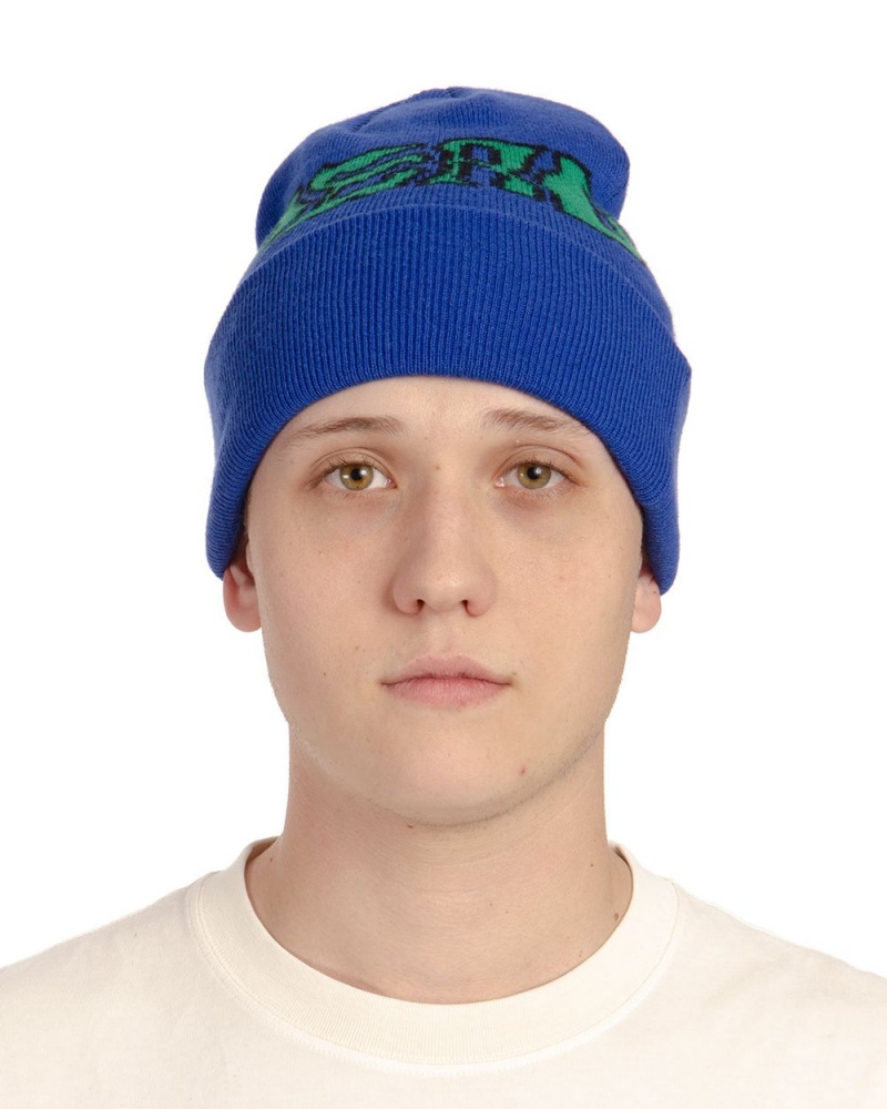 Blue Brain Dead Prehistoric Logo Wool Beanie | USA PZTR47039