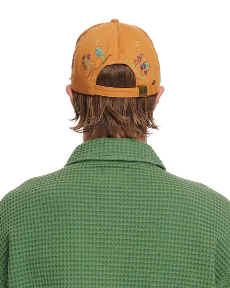 Brown Brain Dead River 6 Panel Cap | USA QNAJ34609