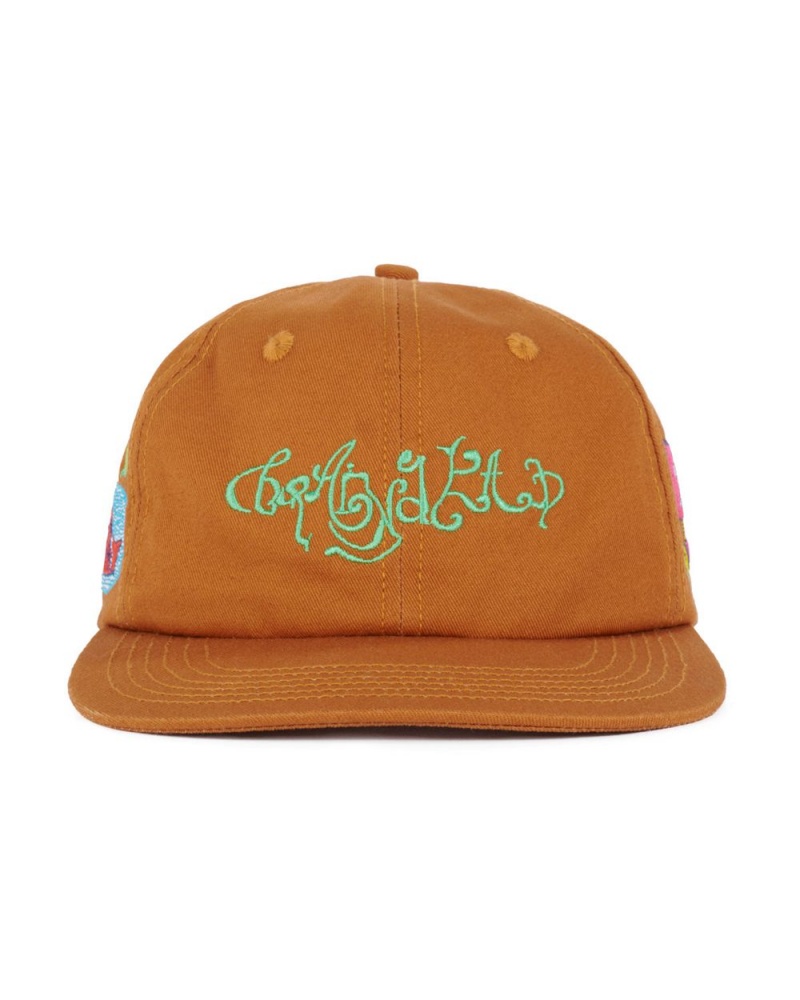 Brown Brain Dead River 6 Panel Cap | USA QNAJ34609