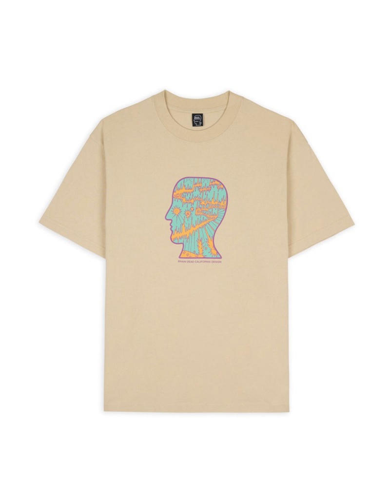 Brown Brain Dead Split Planes T-Shirt | USA TDRY81527