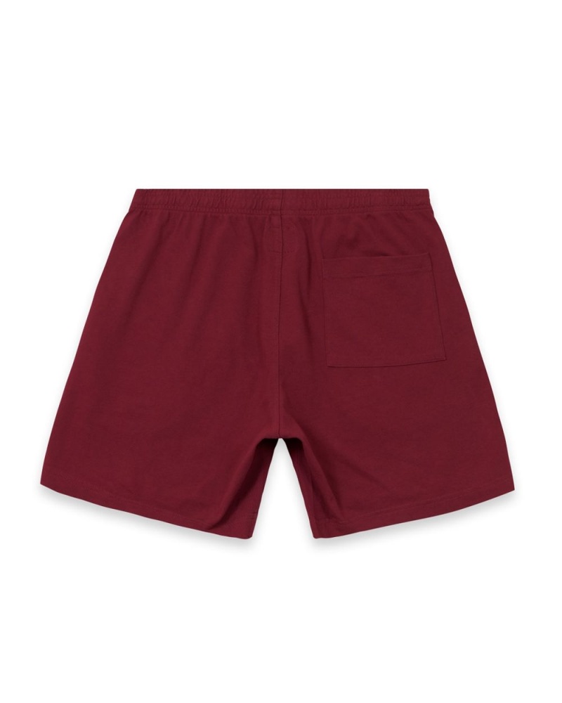 Burgundy Brain Dead Tutorials Heavyweight Jersey Shorts | USA TGPU73146