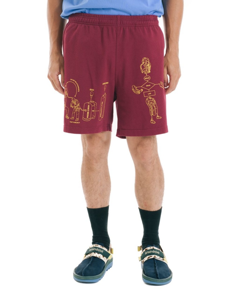 Burgundy Brain Dead Tutorials Heavyweight Jersey Shorts | USA TGPU73146