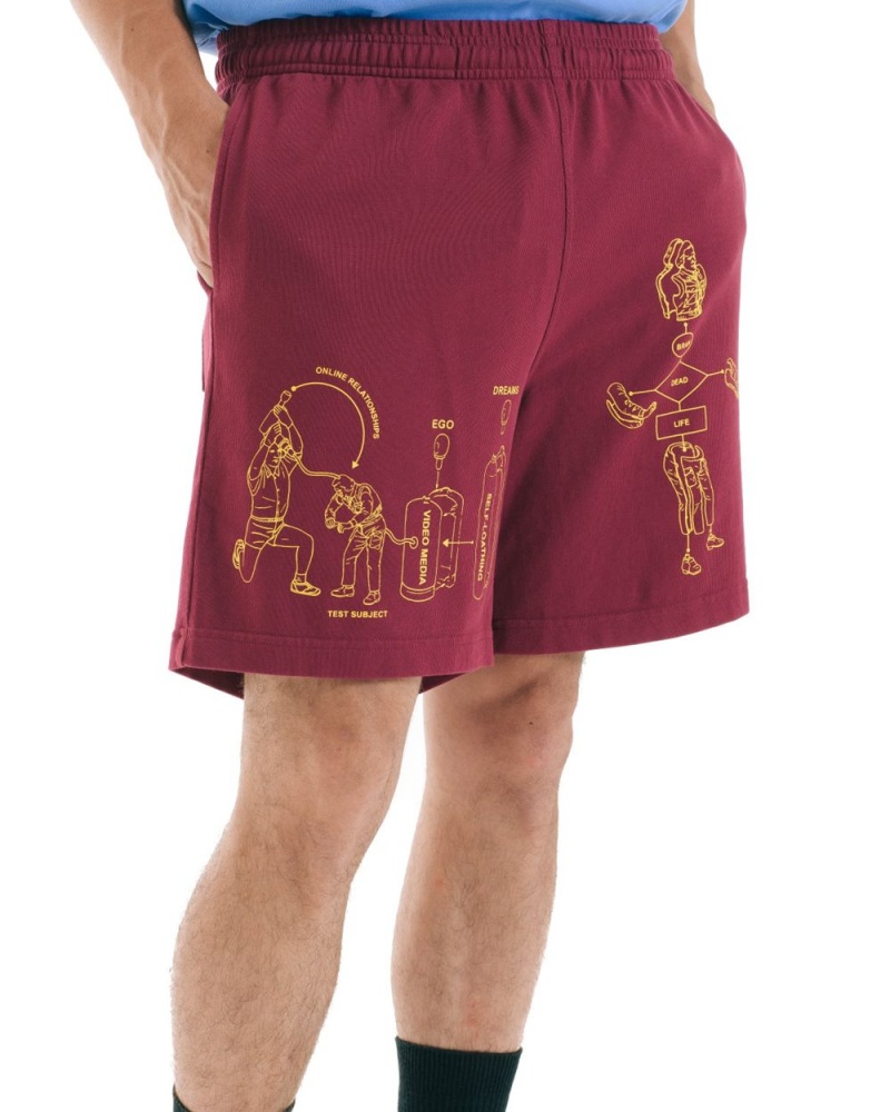 Burgundy Brain Dead Tutorials Heavyweight Jersey Shorts | USA TGPU73146