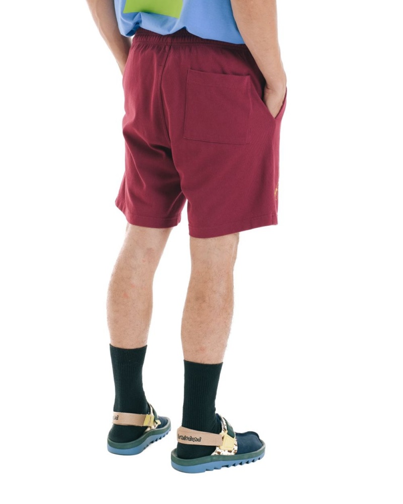 Burgundy Brain Dead Tutorials Heavyweight Jersey Shorts | USA TGPU73146