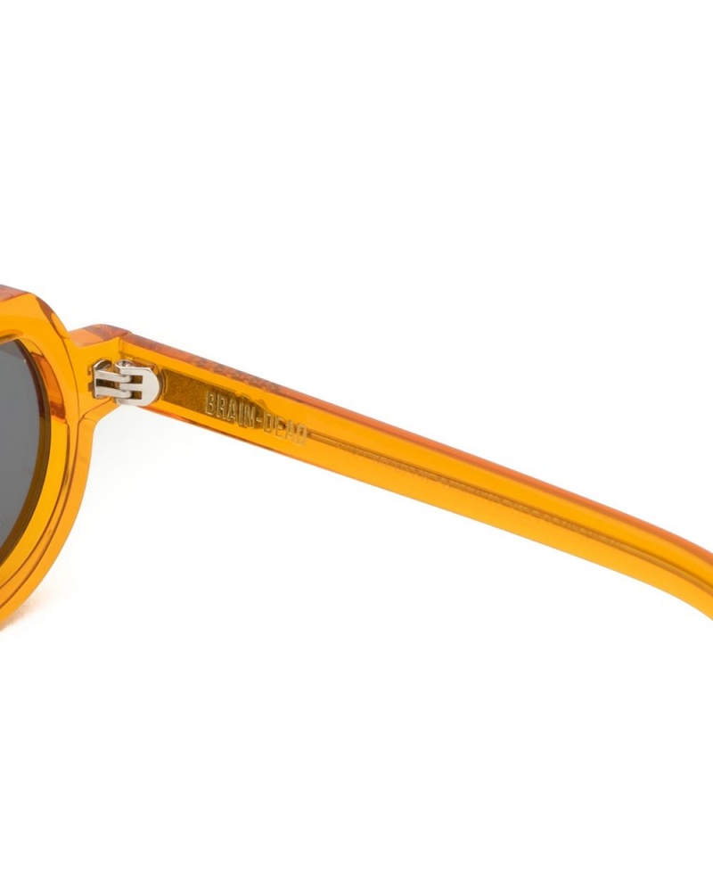 Orange Silver Brain Dead Tani Post Modern Primitive Eye Protection Sunglasses | USA OHDI70196